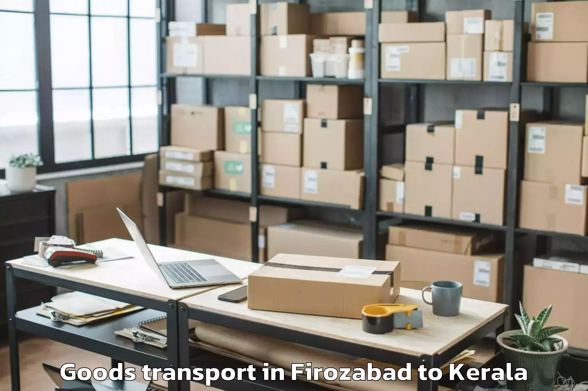 Professional Firozabad to Mall Of Joy Thrissur Goods Transport